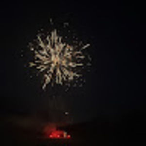 Meet your Posher, Priscilla